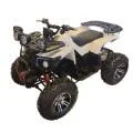 Электроквадроциклы ATV Электроквадроциклы ATV