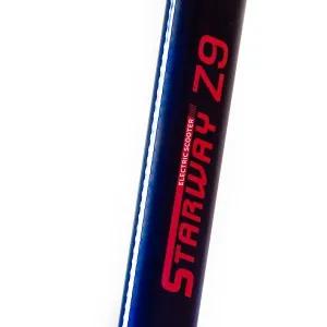 Elektrosamokat-Starway-Z9-6
