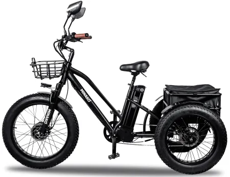 Minako Trike (2) 2