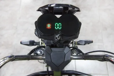 81