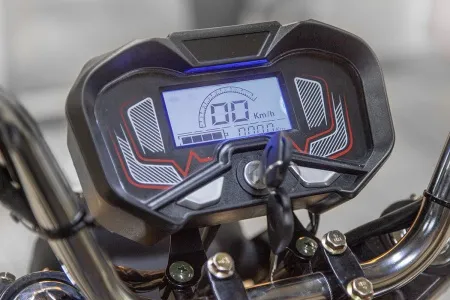 81