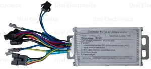 DSC_6844