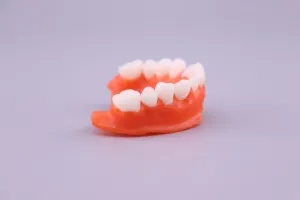 313a1fa00ae9ff7e14c2bfa6231e0e52