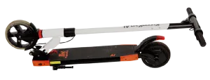 a2