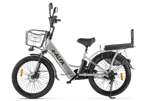 e-ALFA_FAT_01