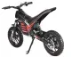 ZXT_2312 (1)