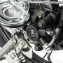 fotor_2023-3-17_13_31_47