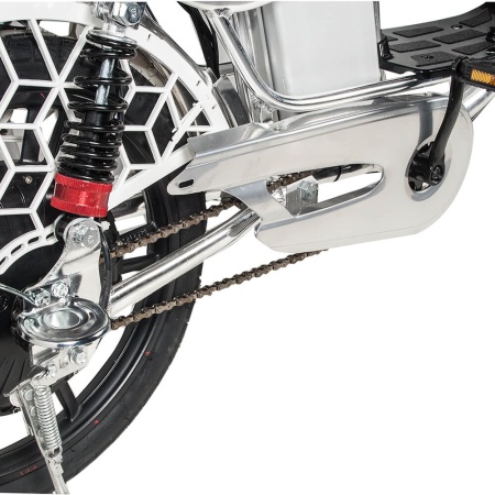 fotor_2023-3-17_13_31_47