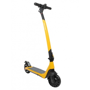 a3yellow4-1000x1000 a3yellow4-1000x1000