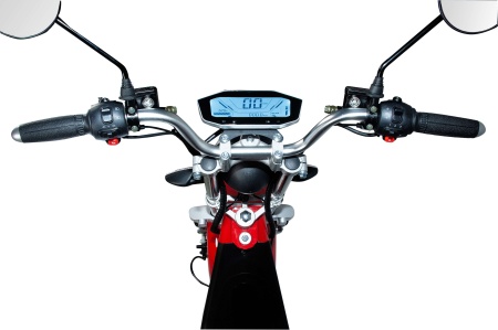 Rex красный (7)