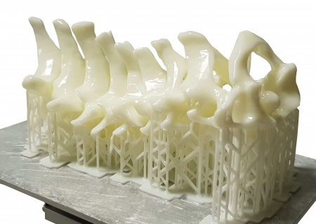 98581681596e49bfa5d07c2183e4b785