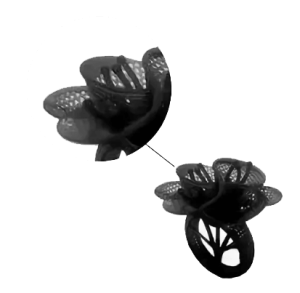 ee17e142597ab1ef8db7fd181ca75846