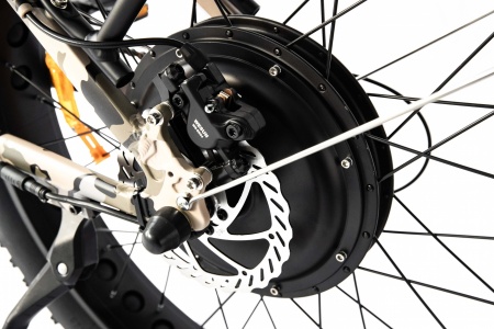 Image_20240222104424