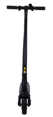 20210304_213524-1000x1000