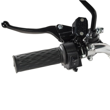 fotor_2023-3-17_13_31_20