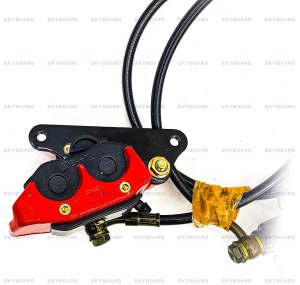 20220311_125829_1_ (2)