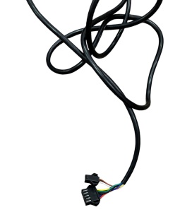 PhotoRoom_20230310_115947