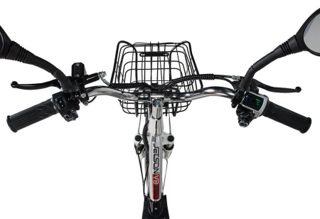 fotor_2023-3-25_16_6_15