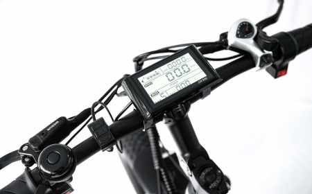 Image_20240222104633