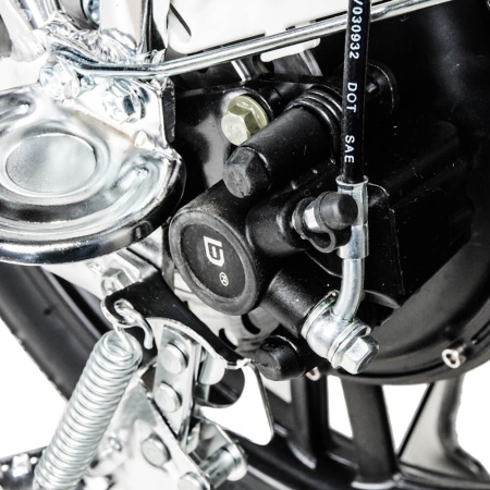 fotor_2023-3-25_16_6_34