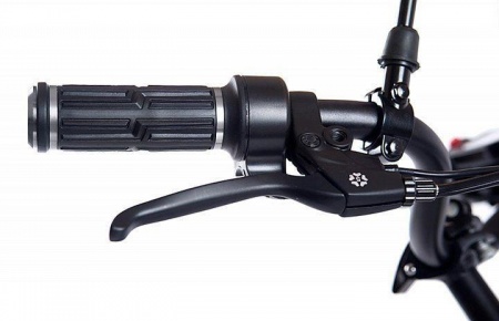 857815423_w640_h640_857815423