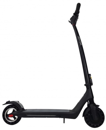 20210304_213806-1000x1000